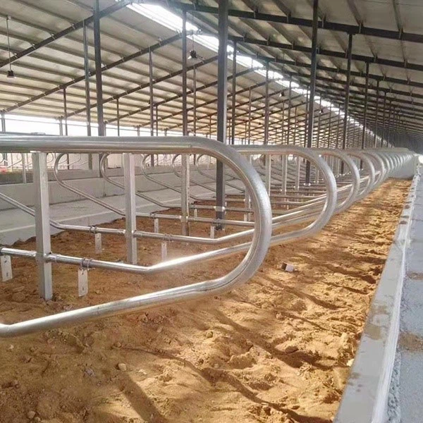 page-600-600 page-600-600